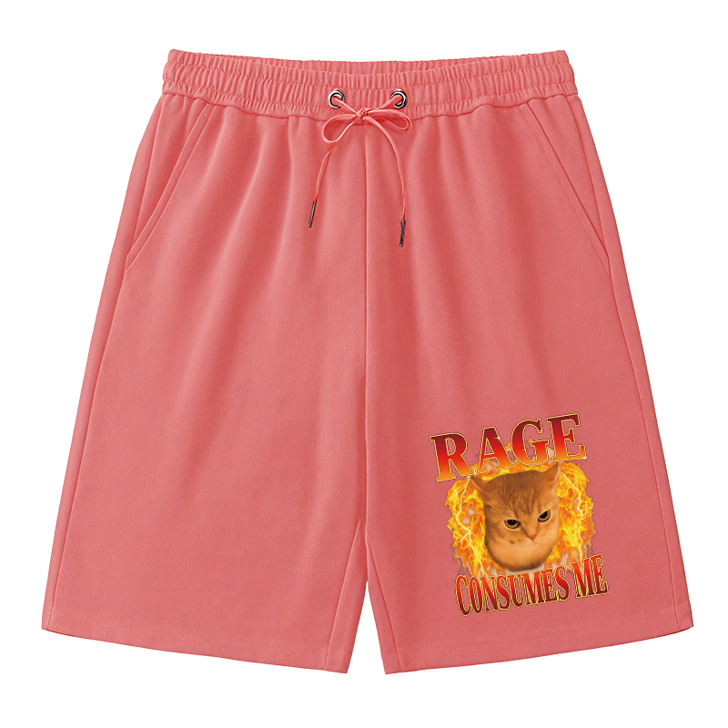 Tokyocanvas Rage Consumes Me Edgy Funny Cat Meme Classic Short