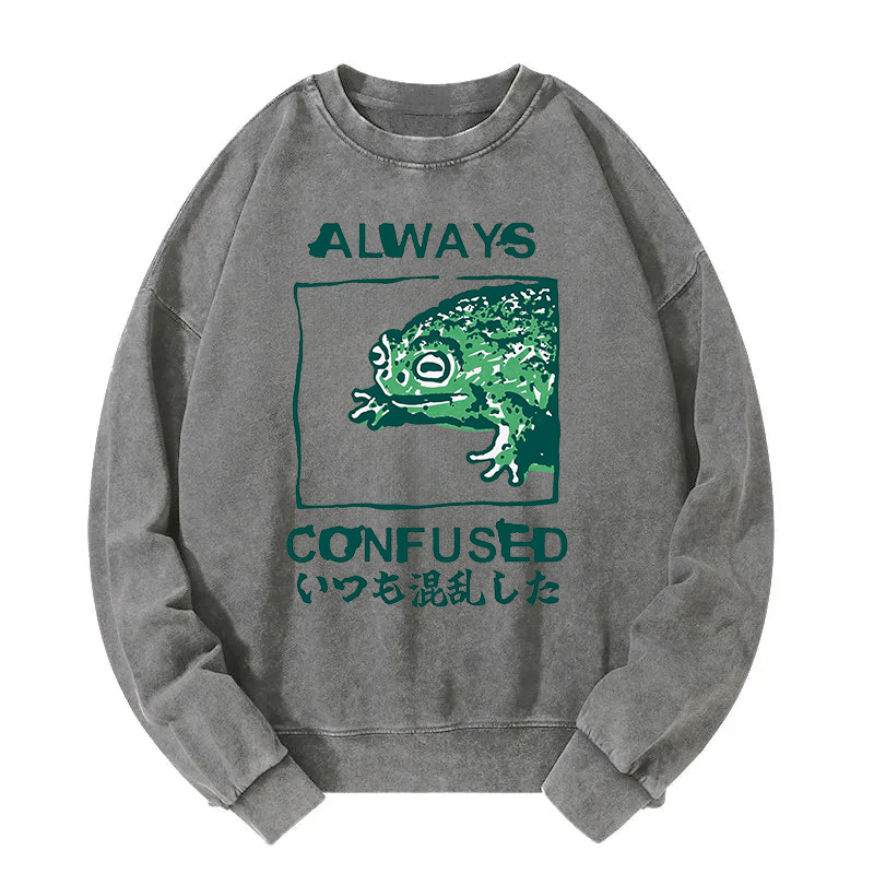 Tokyocanvas Always Confused Frog Washed Sweatshirt
