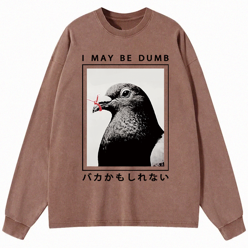 Tokyocanvas I May Be Dumb Funny Long Sleeve Washed T-Shirt