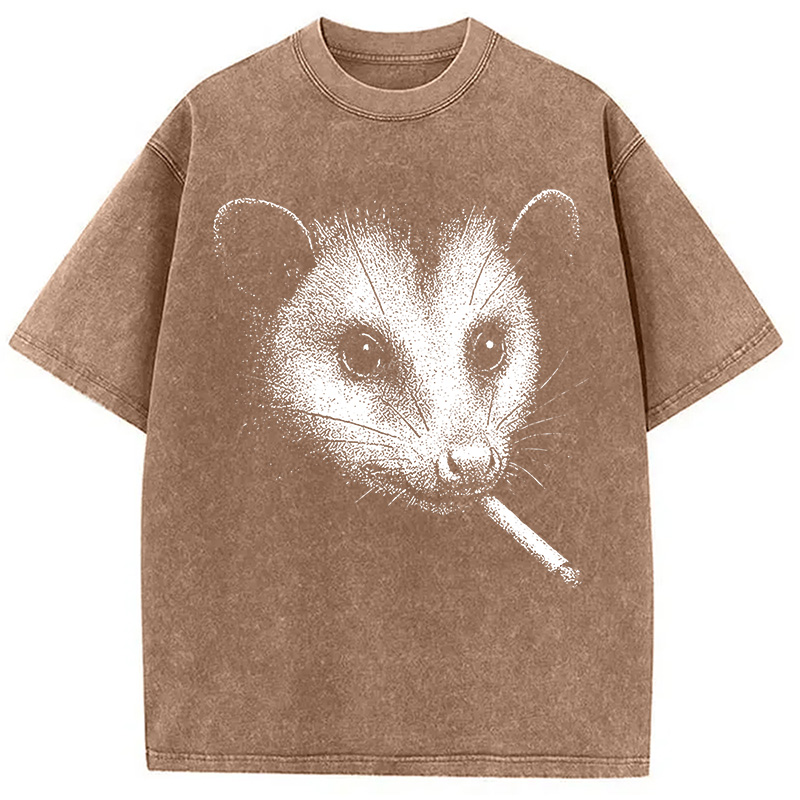 Tokyocanvas Smoking Possum Meme Washed T-Shirt
