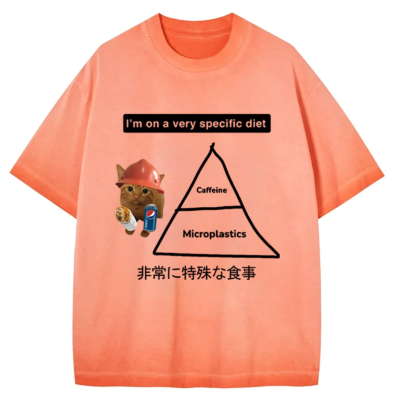 Tokyocanvas A Very Specific Diet Cat Meme Gradient Washed T-Shirt