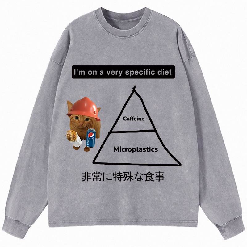Tokyocanvas A Very Specific Diet Cat Meme Long Sleeve Washed T-Shirt