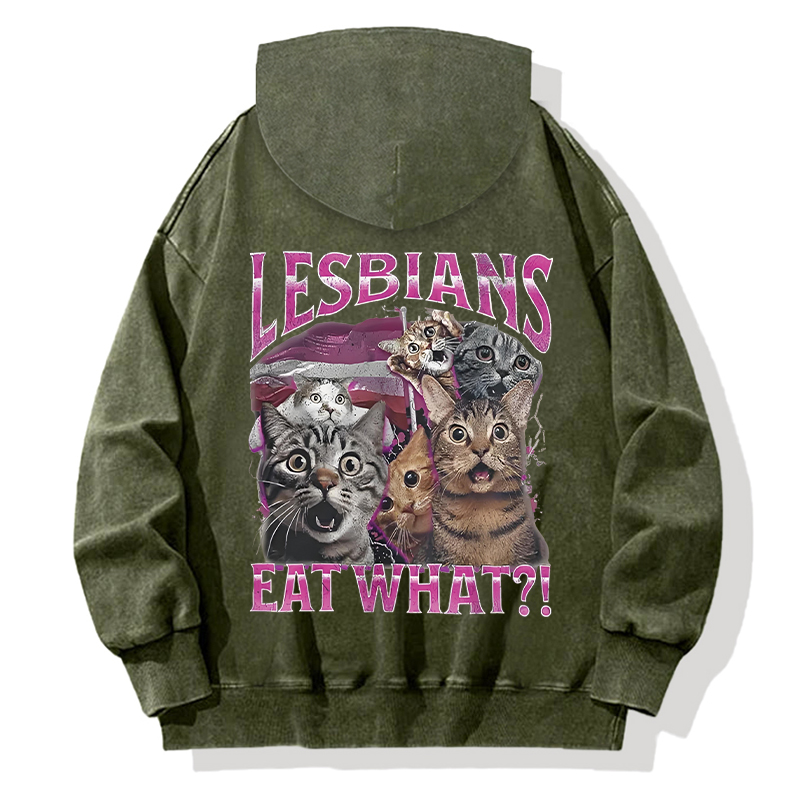 Tokyocanvas Lesbians Eat What?! Funny Back Washed Hoodie