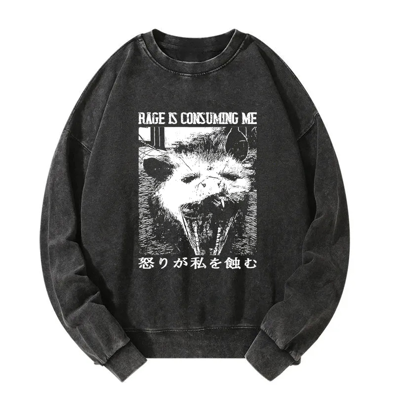 Tokyocanvas Rage Is Consuming Me Opossum Washed Sweatshirt