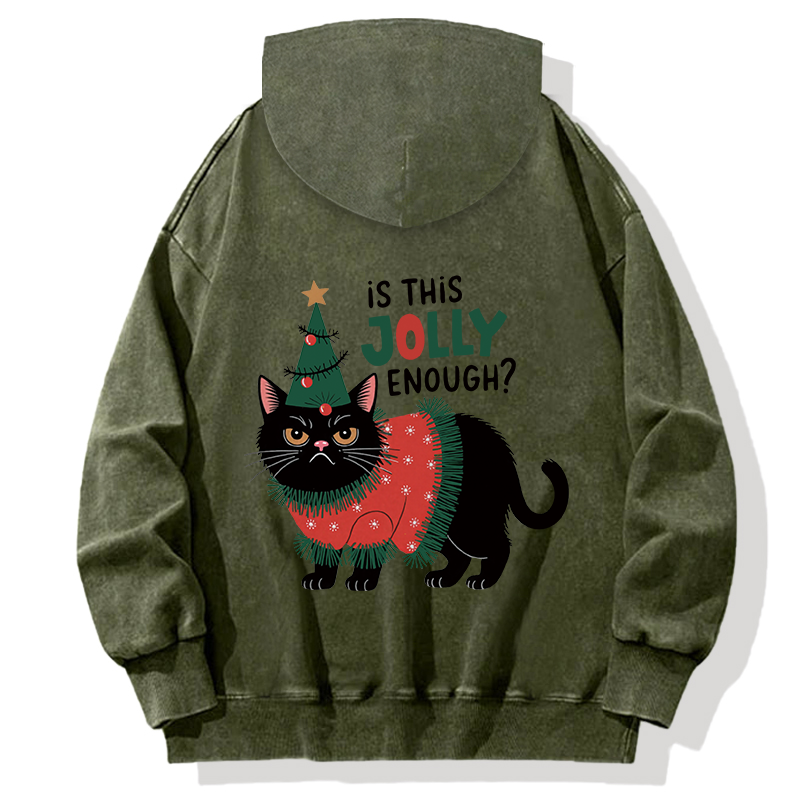 Tokyocanvas Christmas-humor Cat Back Washed Hoodie
