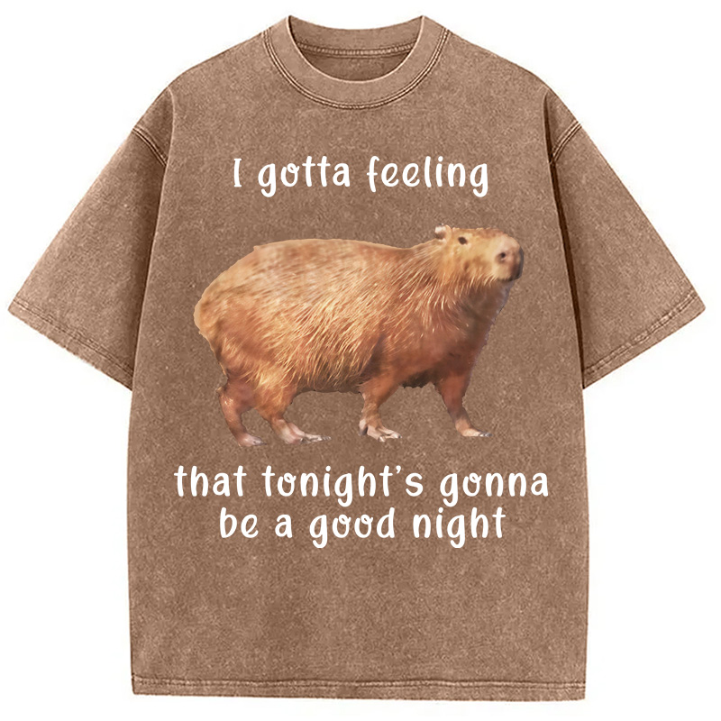 Tokyocanvas Capybara Gotta Feeling Washed T-Shirt