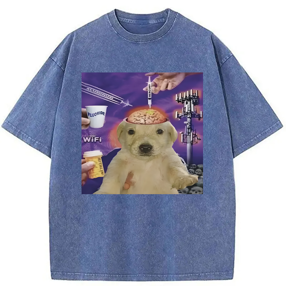 Tokyocanvas Brainwashed Jotchua Meme Washed T-Shirt
