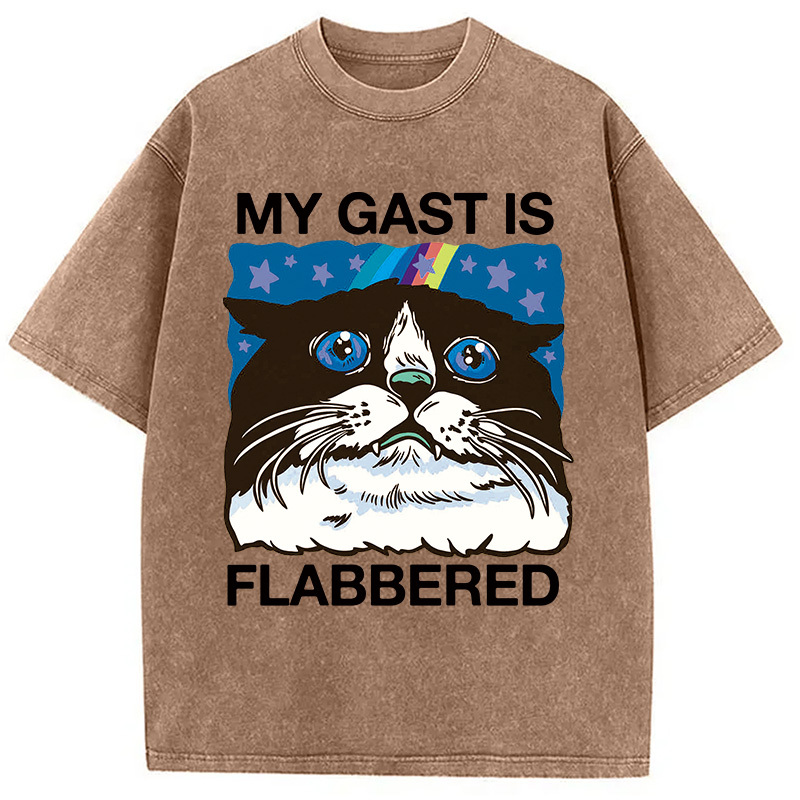 Tokyocanvas My Cat Is Washed T-Shirt