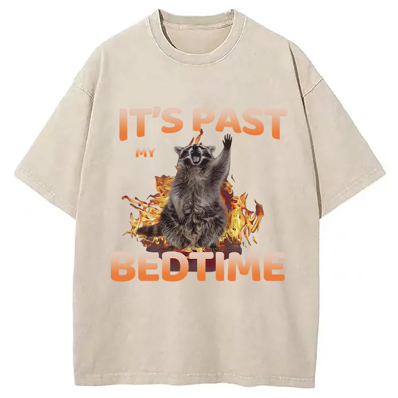 Tokyocanvas It's Past My Bedtime Washed T-Shirt