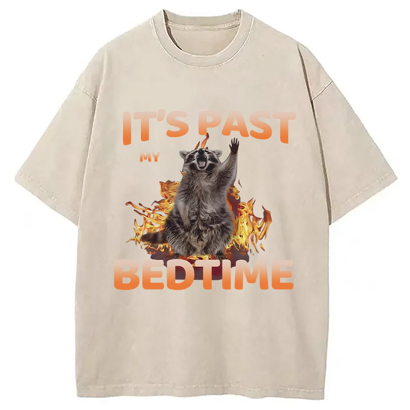 Tokyocanvas It's Past My Bedtime Washed T-Shirt