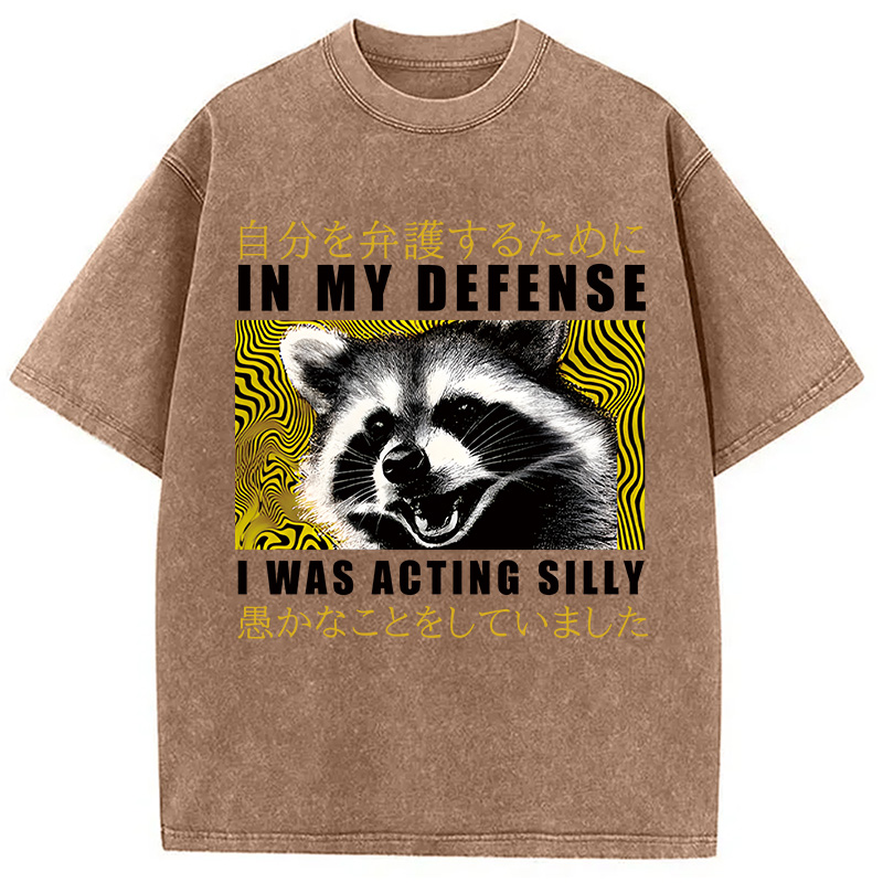 Tokyocanvas Silly & Proud Washed T-Shirt