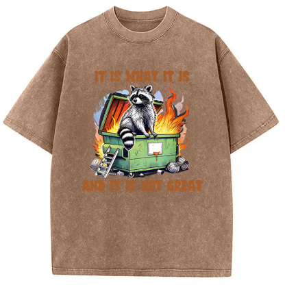 Tokyocanvas It is What Not Great Raccoon Meme Washed T-Shirt