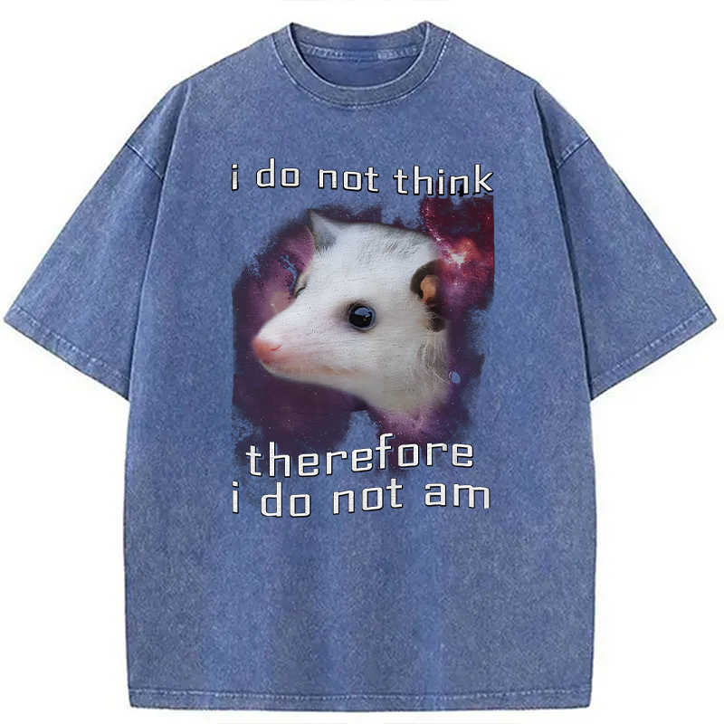 Tokyocanvas Confused Possum Space Washed T-Shirt