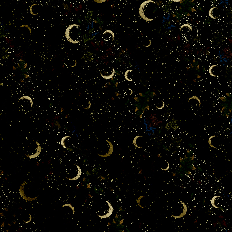 Tokyocanvas Moon Garden Button Up Pocket Shirt