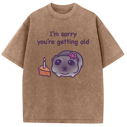 Tokyocanvas Sad Hamster Birthday Meme Washed T-Shirt