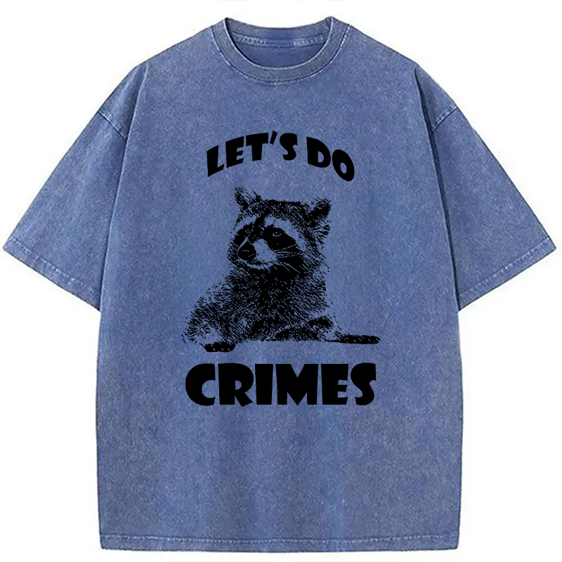 Tokyocanvas Raccoon Let's Do Crimes Washed T-Shirt