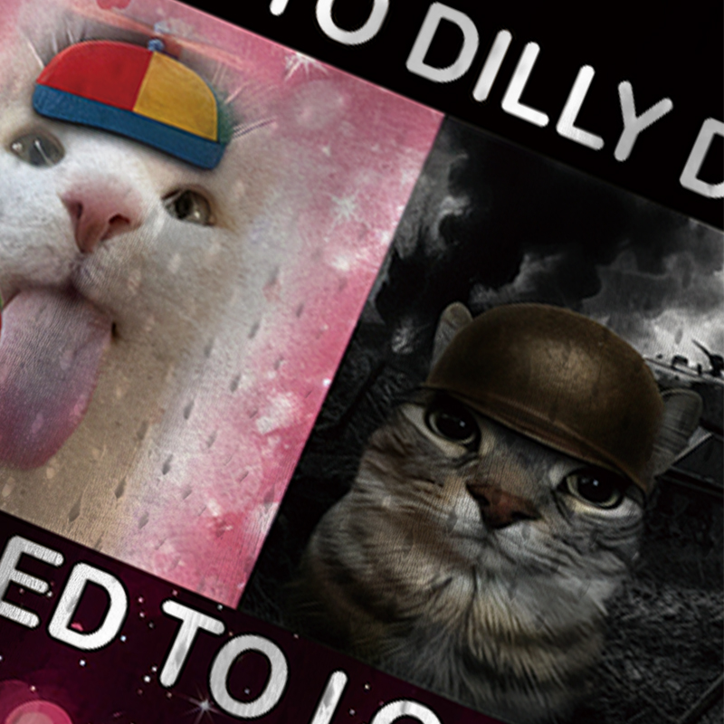 Tokyocanvas Born to Dilly Dally Funny Cat Meme Jersey Tank