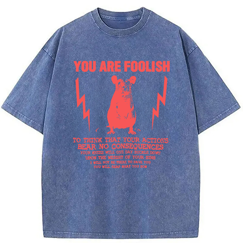 Tokyocanvas You Are Foolish Rat Meme Washed T-Shirt