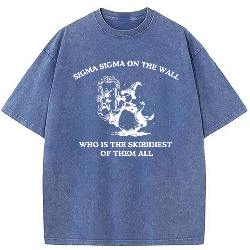 Tokyocanvas Sigma Sigma On The Wall Funny Brainrot Goose Washed T-Shirt