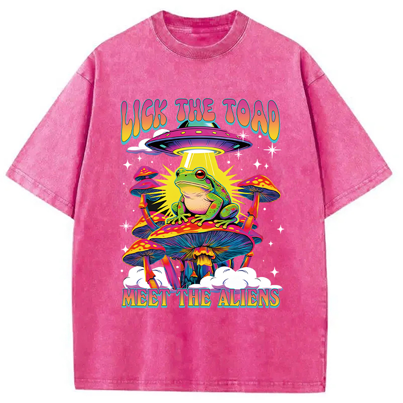 Tokyocanvas Lick The Toad Washed T-Shirt