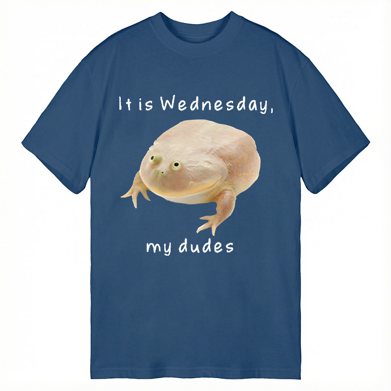 Tokyocanvas It's Wednesday my dudes Classic T-Shirt