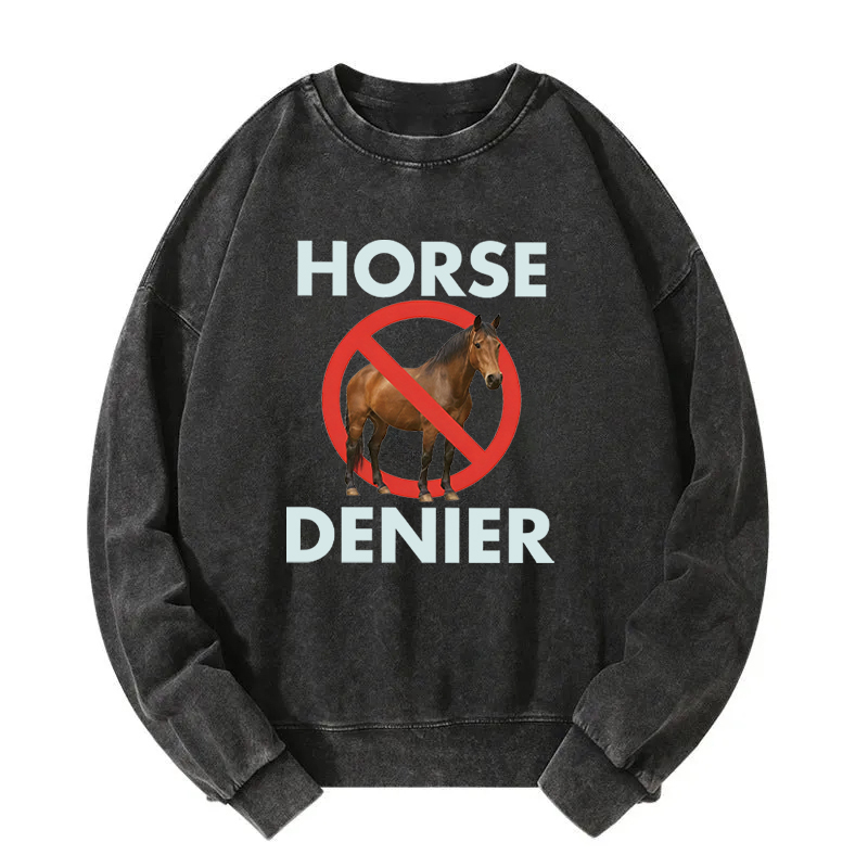 Tokyocanvas Funny Horse Denier Conspiracy Theory Washed Sweatshirt