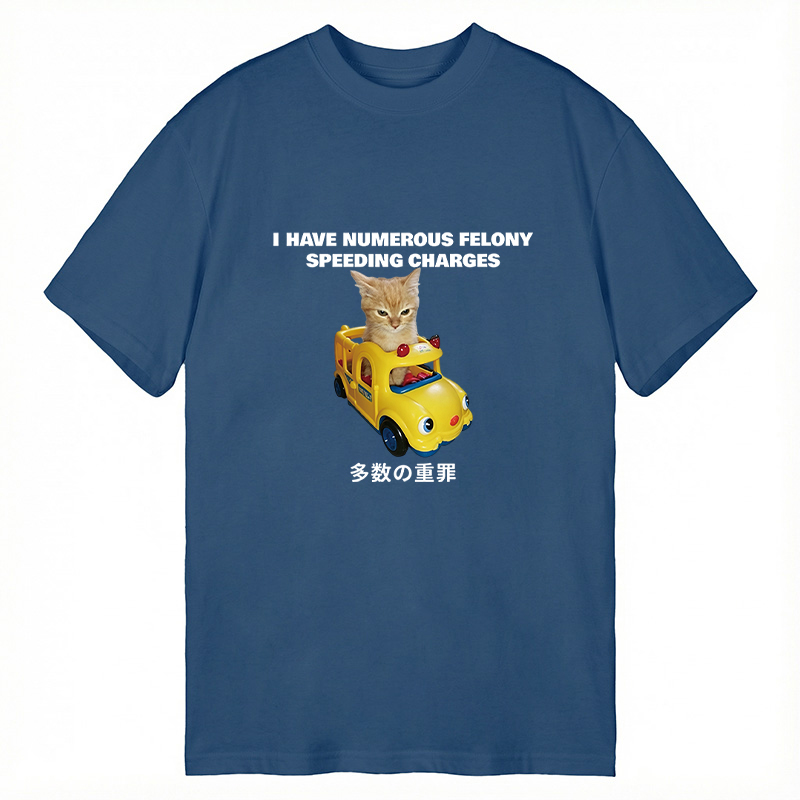 Tokyocanvas I Have Numerous Felonies For Speeding Classic T-Shirt
