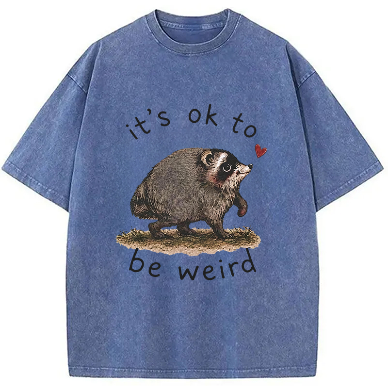 Tokyocanvas It’s OK to Be Weird Washed T-Shirt