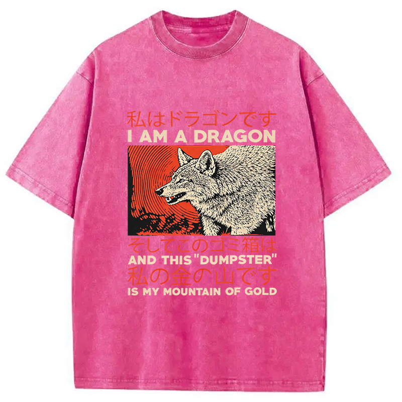 Tokyocanvas I Am A Dragon Coyote Raccoon Trash Graphic Washed T-Shirt