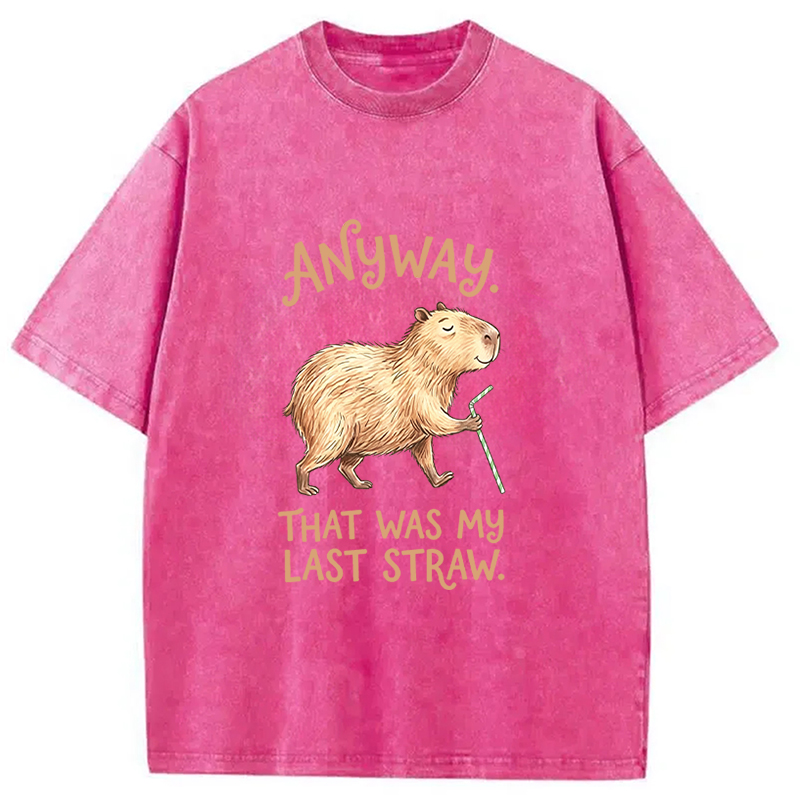 Tokyocanvas Funny Capybara Anyway that was My Last Straw Washed T-Shirt