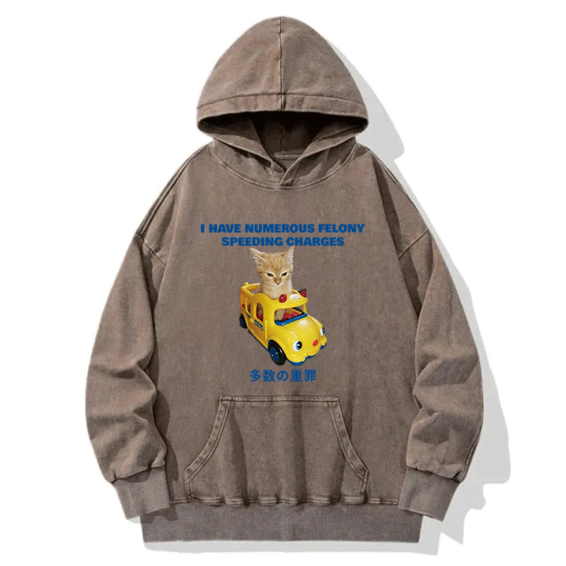 Tokyocanvas I Have Numerous Felonies For Speeding Washed Hoodie
