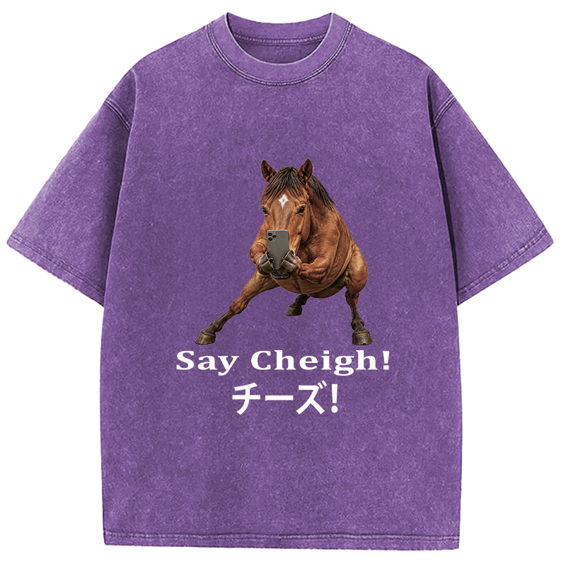 Tokyocanvas Say Cheigh! Horse Meme Washed T-Shirt