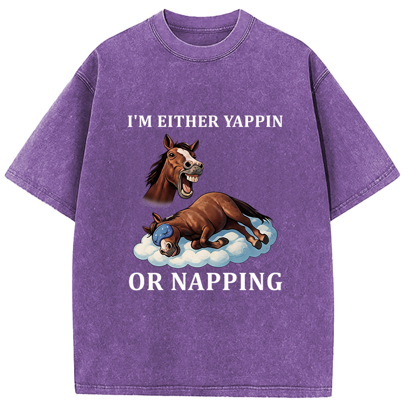 Tokyocanvas Im Either Yappin or Napping  Washed T-Shirt