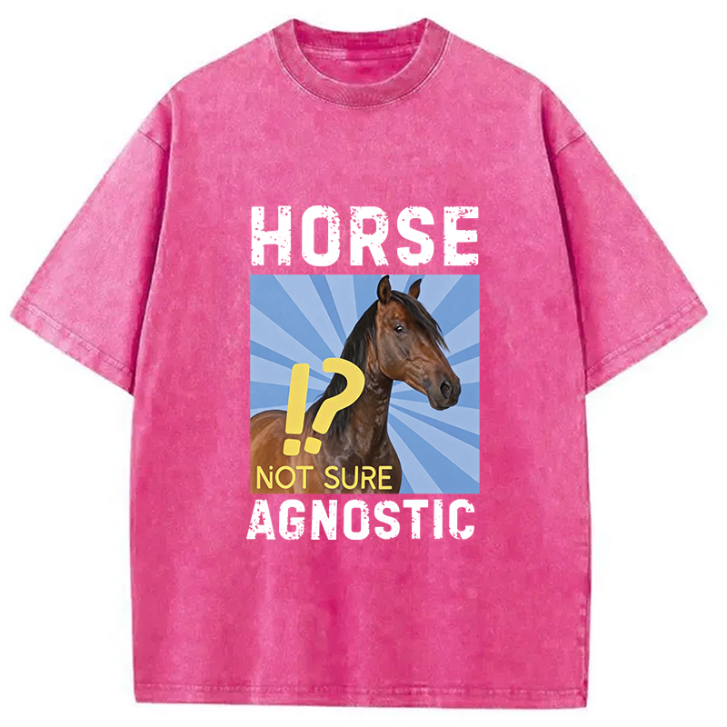 Tokyocanvas Horse Agnostic, Not Sure Essential Washed T-Shirt