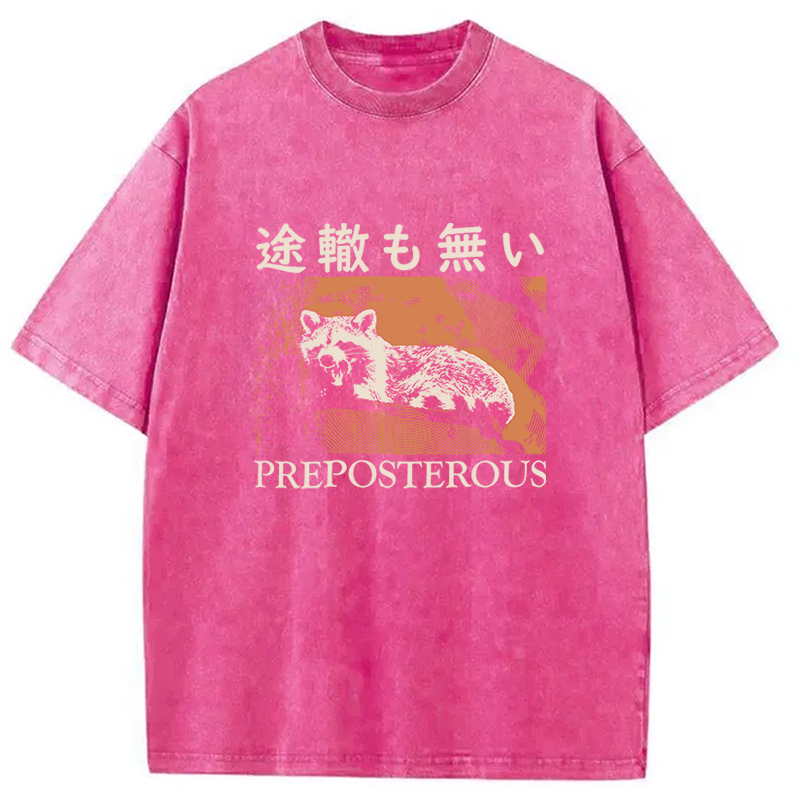 Tokyocanvas Preposterous Raccoon Washed T-Shirt