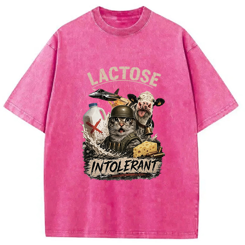 Tokyocanvas Dairy Is My Enemy Washed T-Shirt