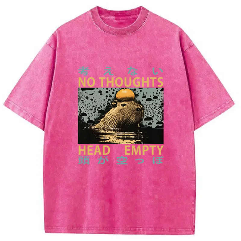 Tokyocanvas No Thoughts Head Empty Washed T-Shirt