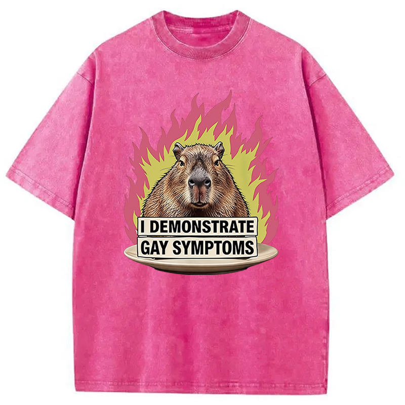 Tokyocanvas I Demonstrate Gay Symptoms Funny Washed T-Shirt