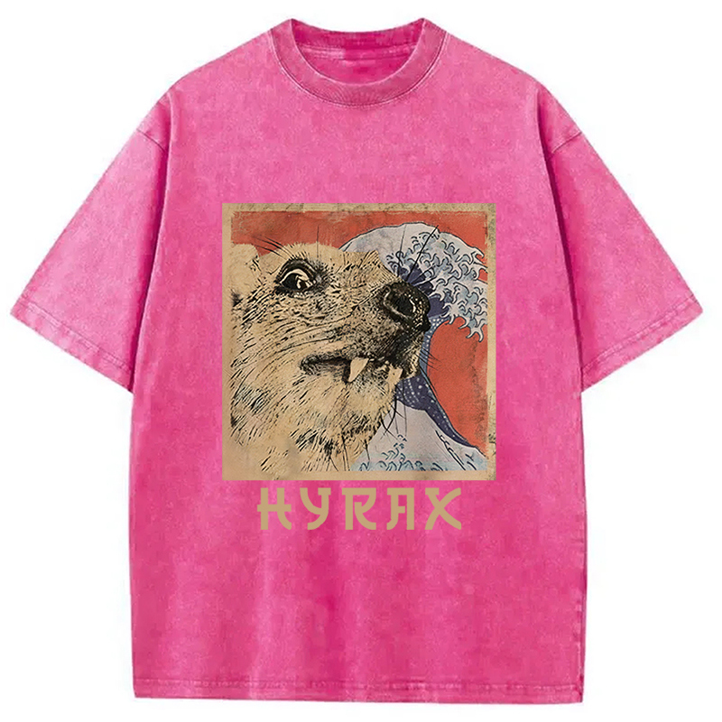 Tokyocanvas Hyrax Japanese Vintage Washed T-Shirt