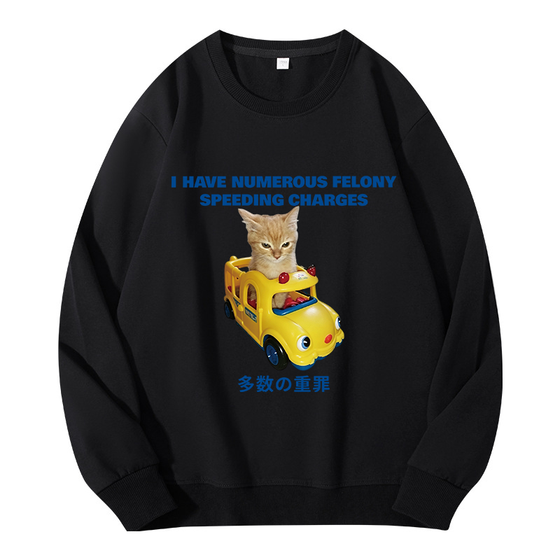 Tokyocanvas I Have Numerous Felonies For Speeding Classic Sweatshirt
