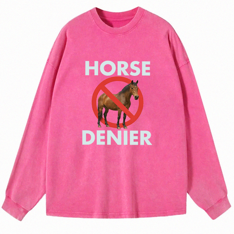 Tokyocanvas Funny Horse Denier Conspiracy Theory Long Sleeve Washed T-Shirt