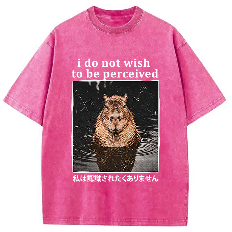 Tokyocanvas I Do Not Wish to Be Perceived Capybara Washed T-Shirt