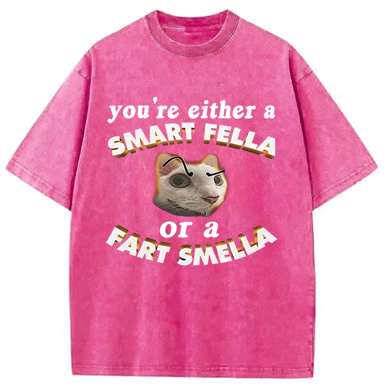 Tokyocanvas You're Either A Smart Fella Or A Fart Smella Funny Cat Washed T-Shirt