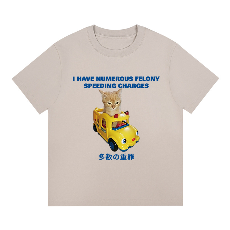 Tokyocanvas I Have Numerous Felonies For Speeding Boxy T-shirt