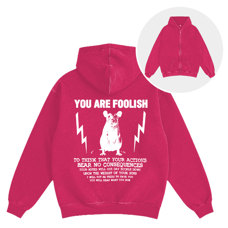 Tokyocanvas You Are Foolish Rat Meme Washed Zip Hoodie