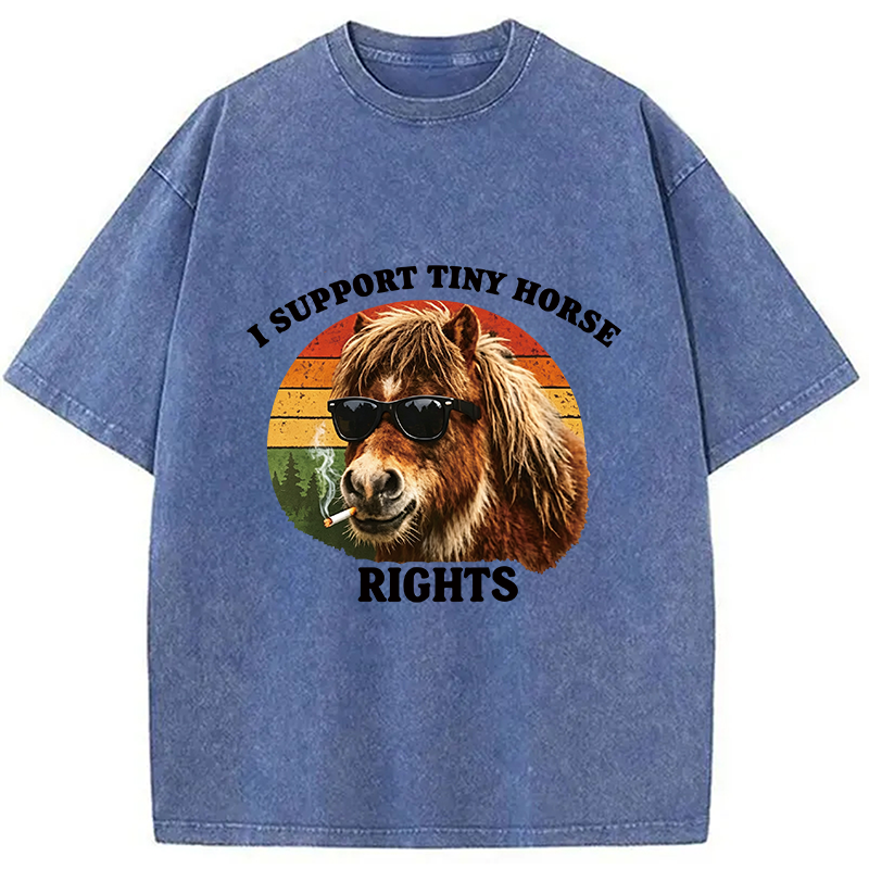 Tokyocanvas Frog Wizard Riding A Horse Washed T-Shirt