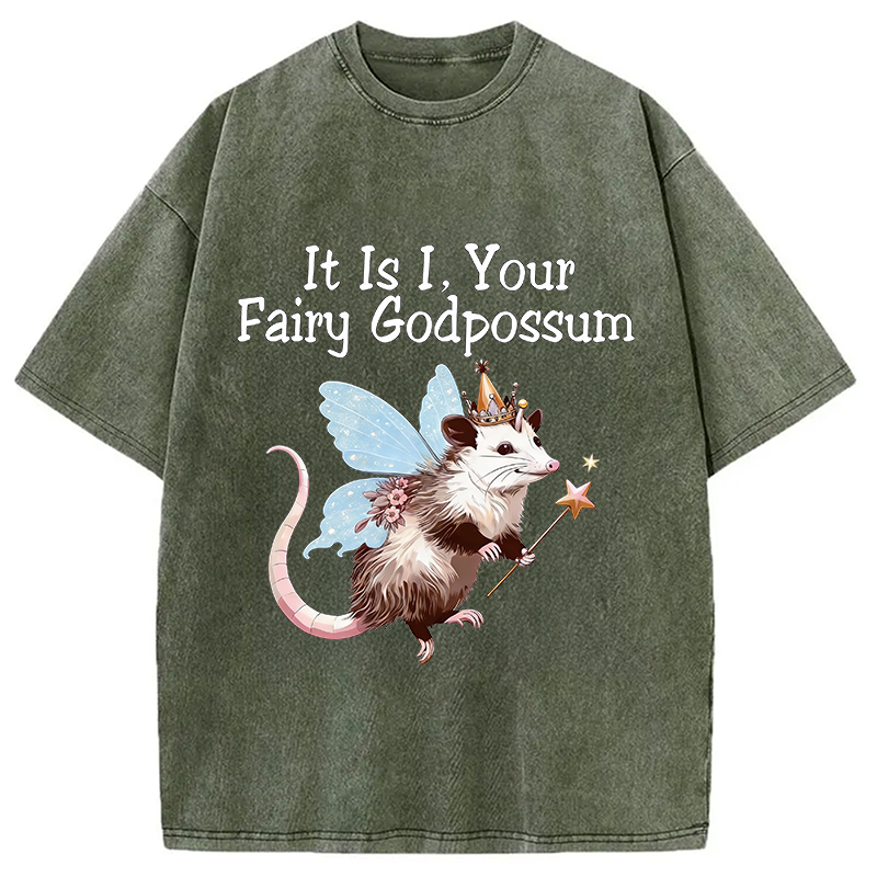 Tokyocanvas It Is I Your Fairy Godpossum Washed T-Shirt