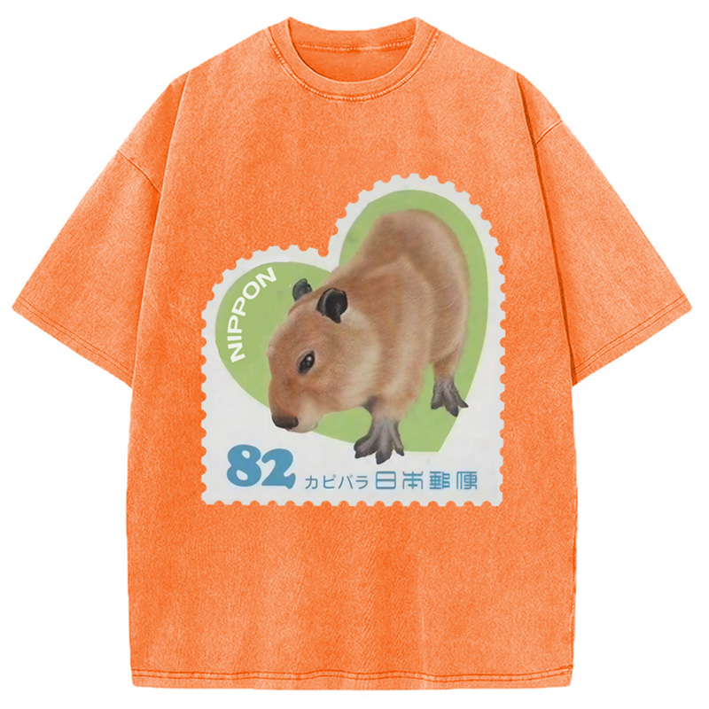 Tokyocanvas Japanese Capybara Washed T-Shirt