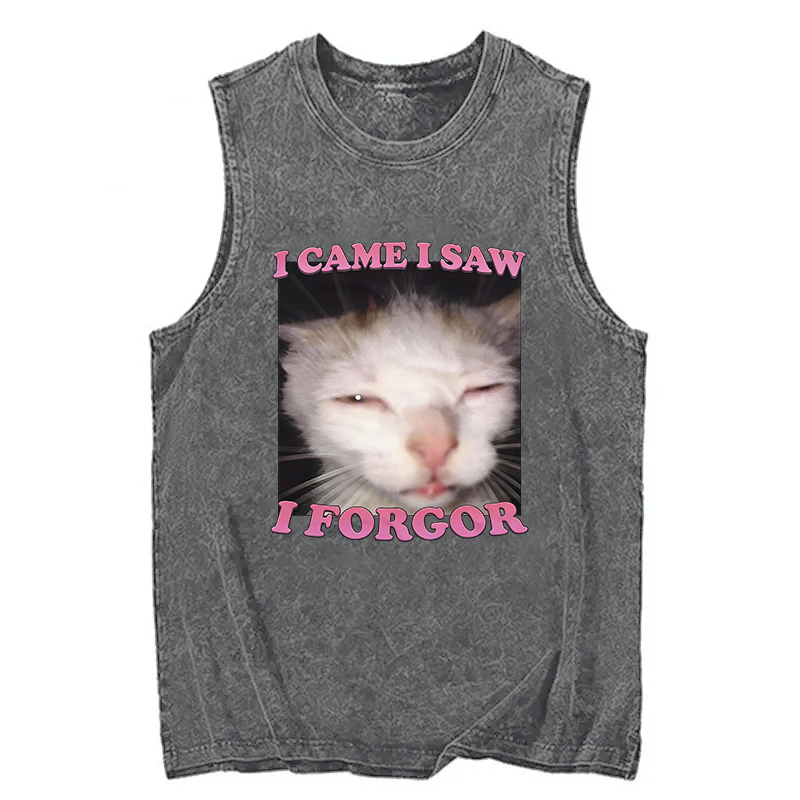 Tokyocanvas I Forgor Funny Cat Meme Washed Tank