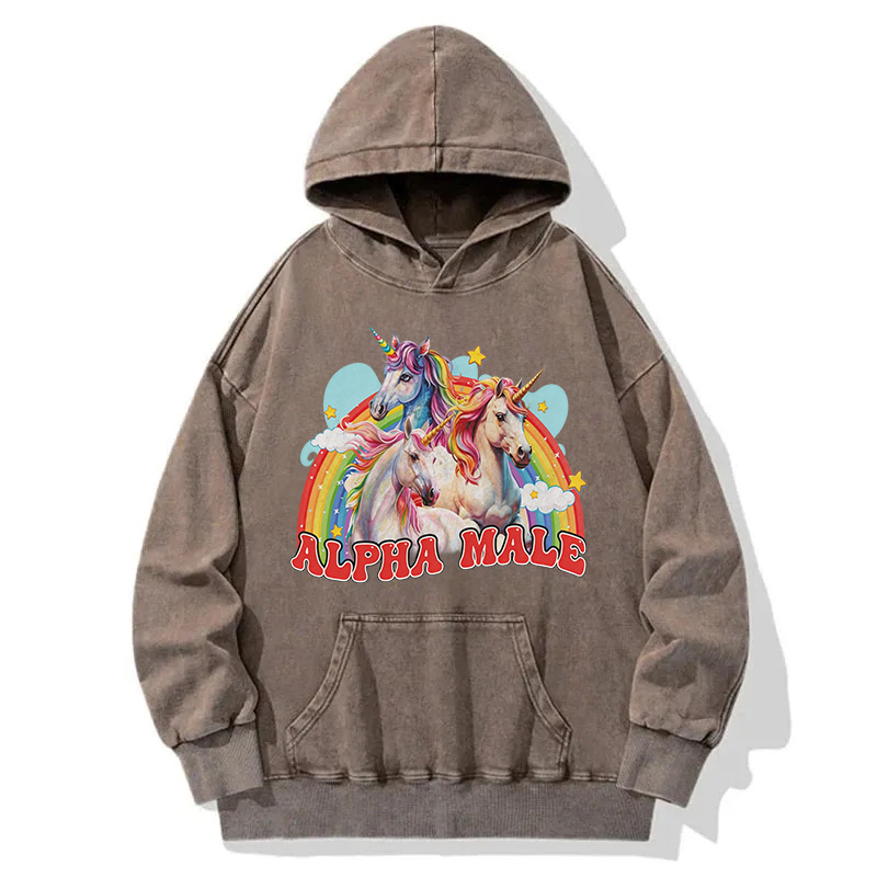 Tokyocanvas Alpha Male Unicorn Washed Hoodie